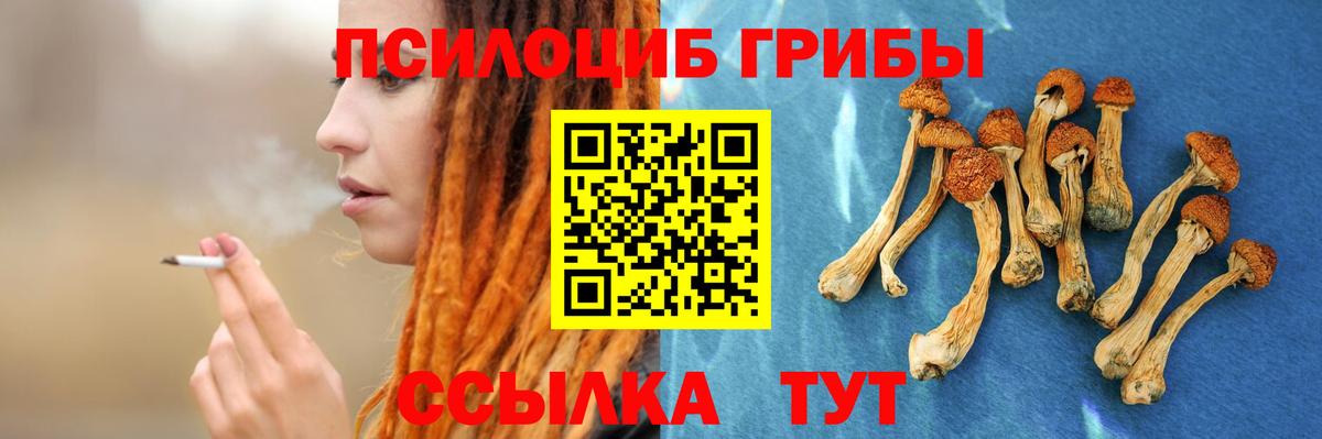 Ахтубинск  Псилоцибиновые грибы Magic Shrooms  Псилоцибиновые грибы ЛСД  Вход с VPN 